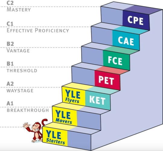 экзамены yle